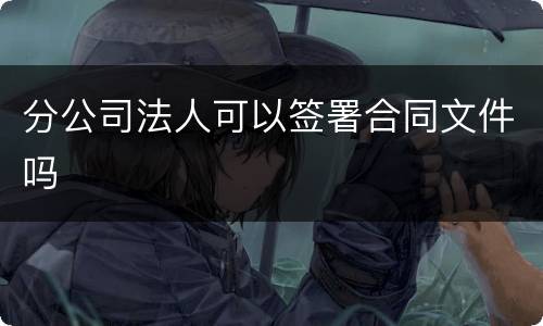 分公司法人可以签署合同文件吗