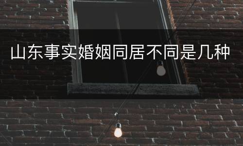 山东事实婚姻同居不同是几种