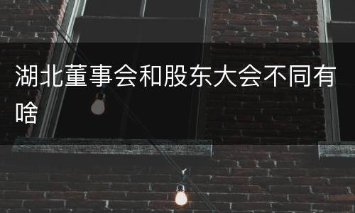 湖北董事会和股东大会不同有啥