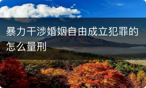 暴力干涉婚姻自由成立犯罪的怎么量刑