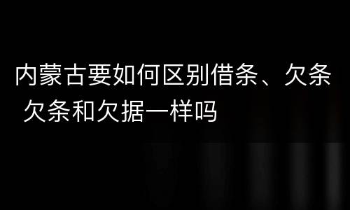 内蒙古要如何区别借条、欠条 欠条和欠据一样吗