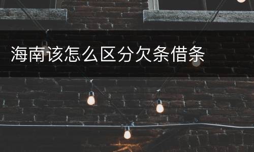 海南该怎么区分欠条借条