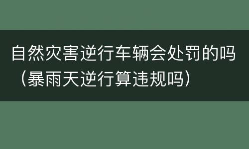 自然灾害逆行车辆会处罚的吗（暴雨天逆行算违规吗）