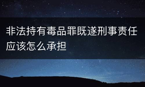 非法持有毒品罪既遂刑事责任应该怎么承担