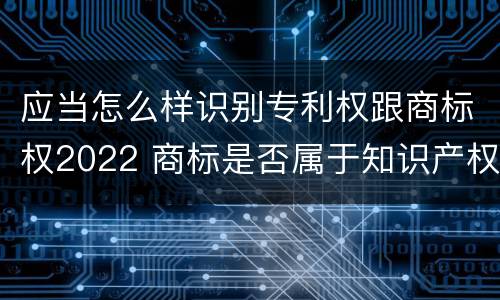 应当怎么样识别专利权跟商标权2022 商标是否属于知识产权