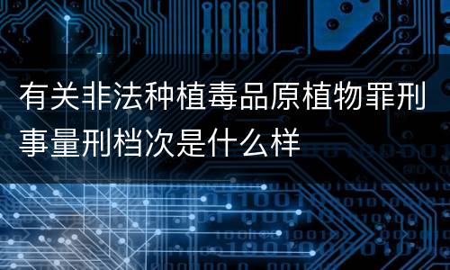 有关非法种植毒品原植物罪刑事量刑档次是什么样