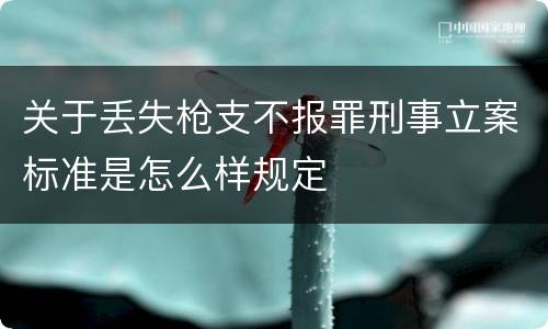 关于丢失枪支不报罪刑事立案标准是怎么样规定