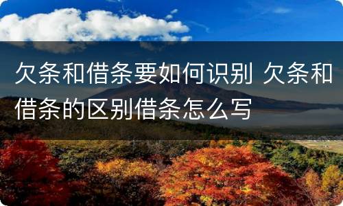 欠条和借条要如何识别 欠条和借条的区别借条怎么写
