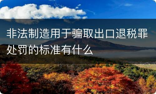 非法制造用于骗取出口退税罪处罚的标准有什么