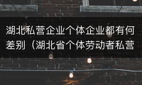 湖北私营企业个体企业都有何差别（湖北省个体劳动者私营企业协会）