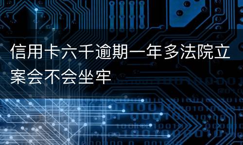 信用卡六千逾期一年多法院立案会不会坐牢