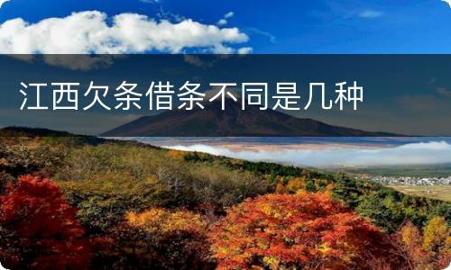 江西欠条借条不同是几种
