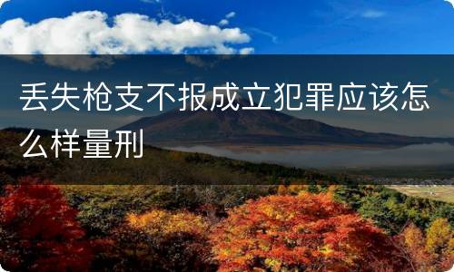 丢失枪支不报成立犯罪应该怎么样量刑