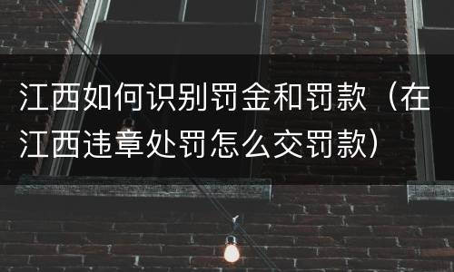 江西如何识别罚金和罚款（在江西违章处罚怎么交罚款）