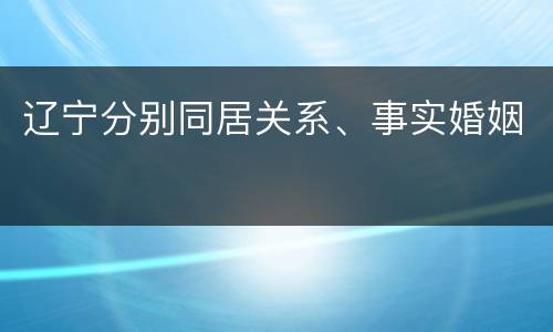 辽宁分别同居关系、事实婚姻