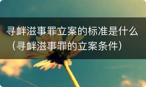 寻衅滋事罪立案的标准是什么（寻衅滋事罪的立案条件）