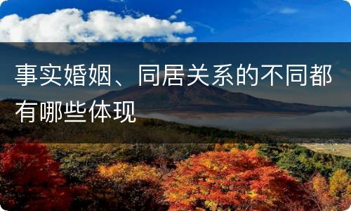 事实婚姻、同居关系的不同都有哪些体现