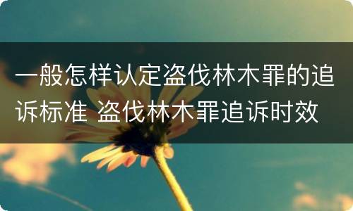 一般怎样认定盗伐林木罪的追诉标准 盗伐林木罪追诉时效