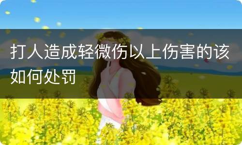 打人造成轻微伤以上伤害的该如何处罚
