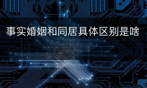 事实婚姻和同居具体区别是啥