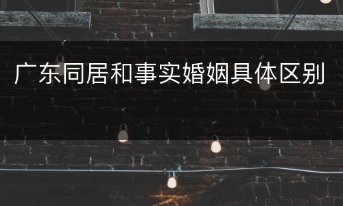 广东同居和事实婚姻具体区别