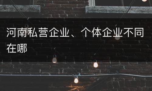 河南私营企业、个体企业不同在哪