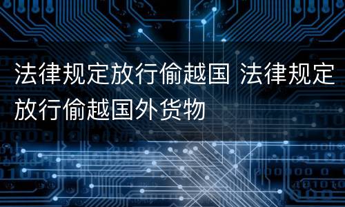 法律规定放行偷越国 法律规定放行偷越国外货物