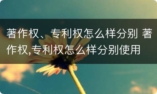 著作权、专利权怎么样分别 著作权,专利权怎么样分别使用