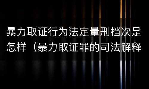 暴力取证行为法定量刑档次是怎样（暴力取证罪的司法解释）