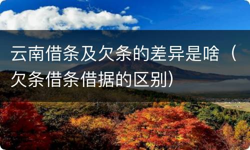 云南借条及欠条的差异是啥（欠条借条借据的区别）