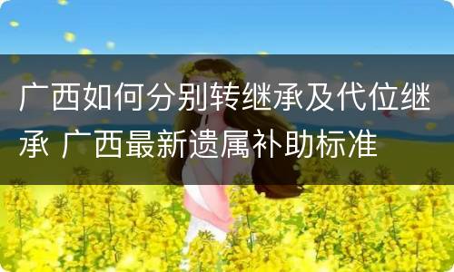 广西如何分别转继承及代位继承 广西最新遗属补助标准