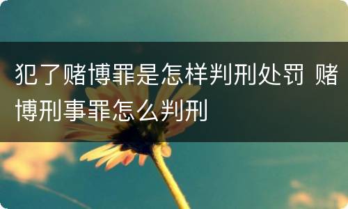 犯了赌博罪是怎样判刑处罚 赌博刑事罪怎么判刑