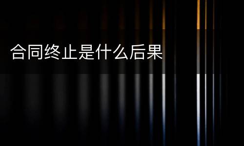 合同终止是什么后果