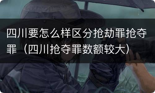 四川要怎么样区分抢劫罪抢夺罪（四川抢夺罪数额较大）