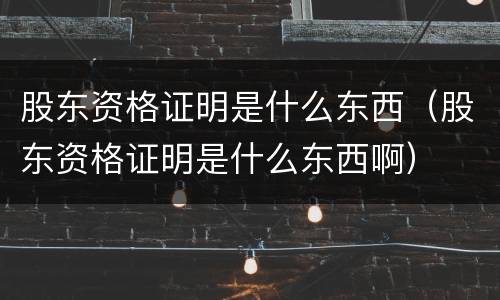 股东资格证明是什么东西（股东资格证明是什么东西啊）
