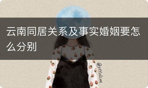 云南同居关系及事实婚姻要怎么分别
