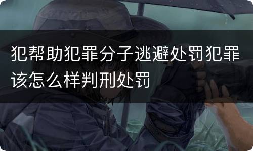 犯帮助犯罪分子逃避处罚犯罪该怎么样判刑处罚