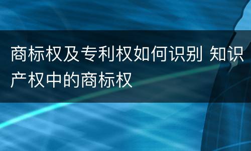 商标权及专利权如何识别 知识产权中的商标权