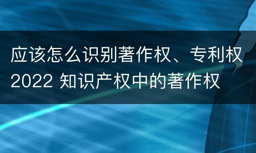 应该怎么识别著作权、专利权2022 知识产权中的著作权