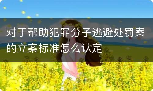 对于帮助犯罪分子逃避处罚案的立案标准怎么认定