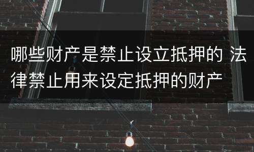 哪些财产是禁止设立抵押的 法律禁止用来设定抵押的财产