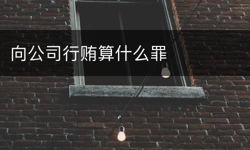 向公司行贿算什么罪