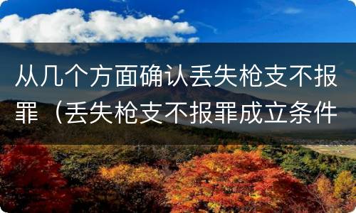 从几个方面确认丢失枪支不报罪（丢失枪支不报罪成立条件）