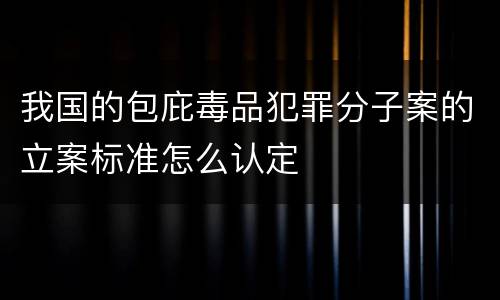 我国的包庇毒品犯罪分子案的立案标准怎么认定