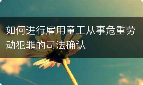 如何进行雇用童工从事危重劳动犯罪的司法确认