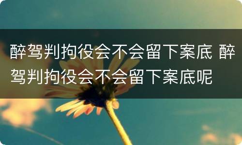 醉驾判拘役会不会留下案底 醉驾判拘役会不会留下案底呢
