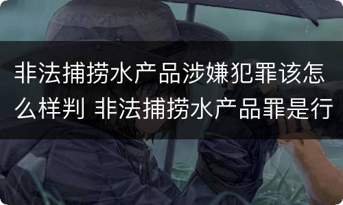 非法捕捞水产品涉嫌犯罪该怎么样判 非法捕捞水产品罪是行为犯吗