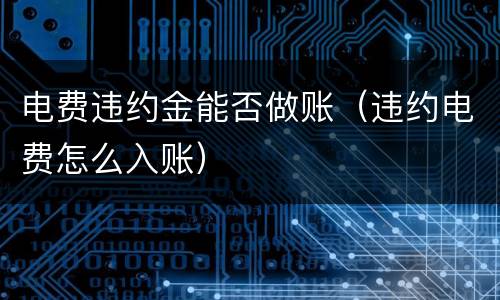 电费违约金能否做账（违约电费怎么入账）