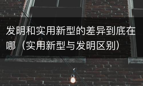 发明和实用新型的差异到底在哪（实用新型与发明区别）