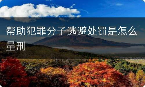 帮助犯罪分子逃避处罚是怎么量刑